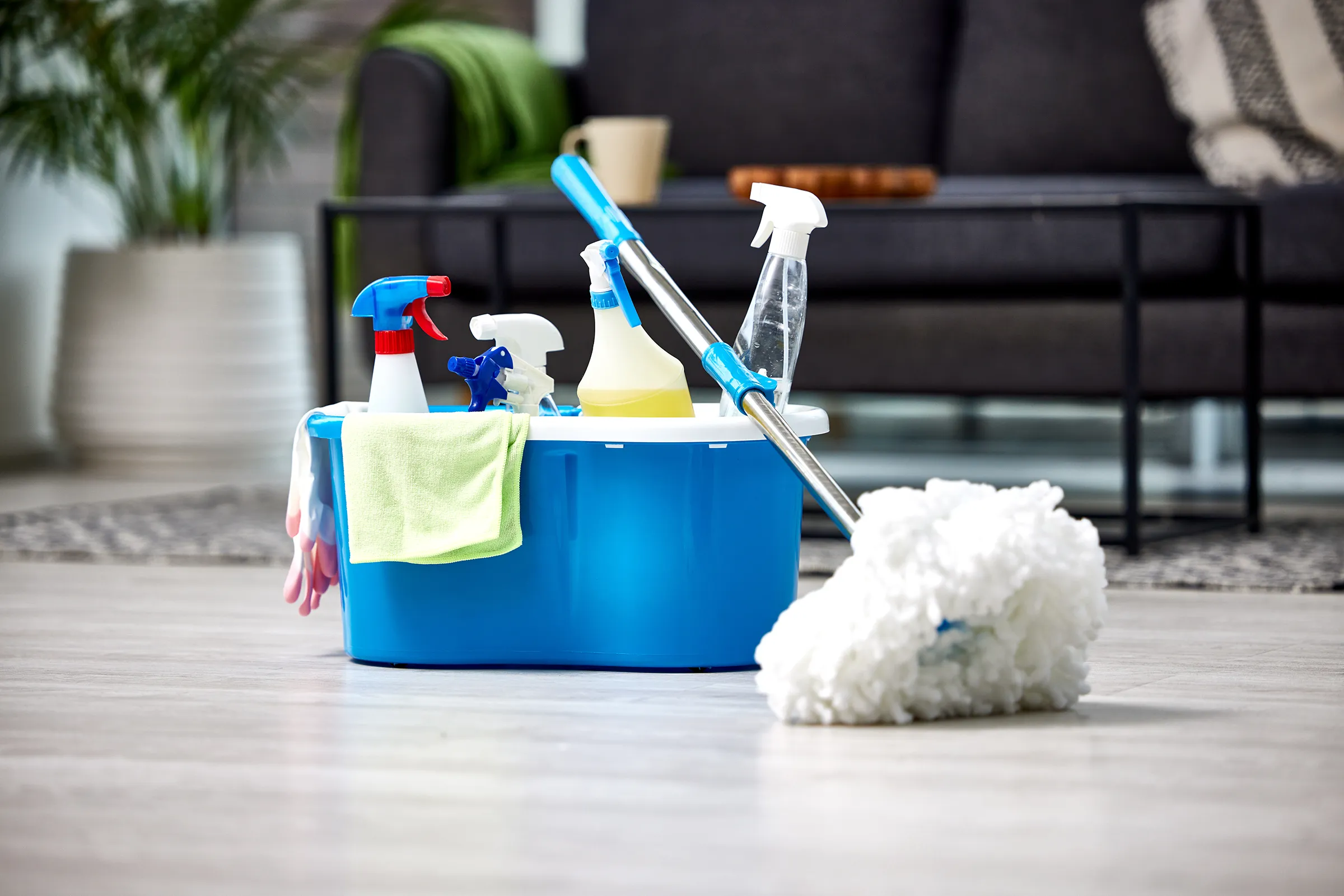 Bucket of cleaning supplies with mop on floor