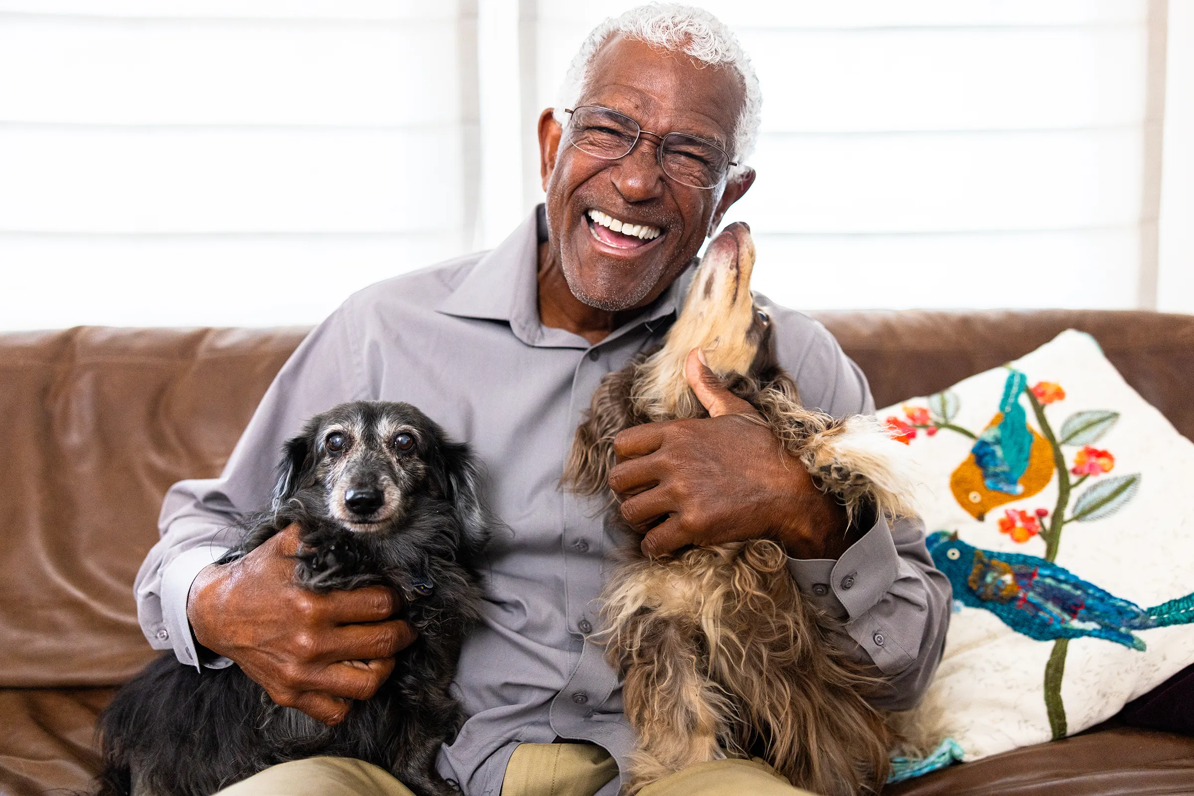 Smiling senior man cuddling two small dogs