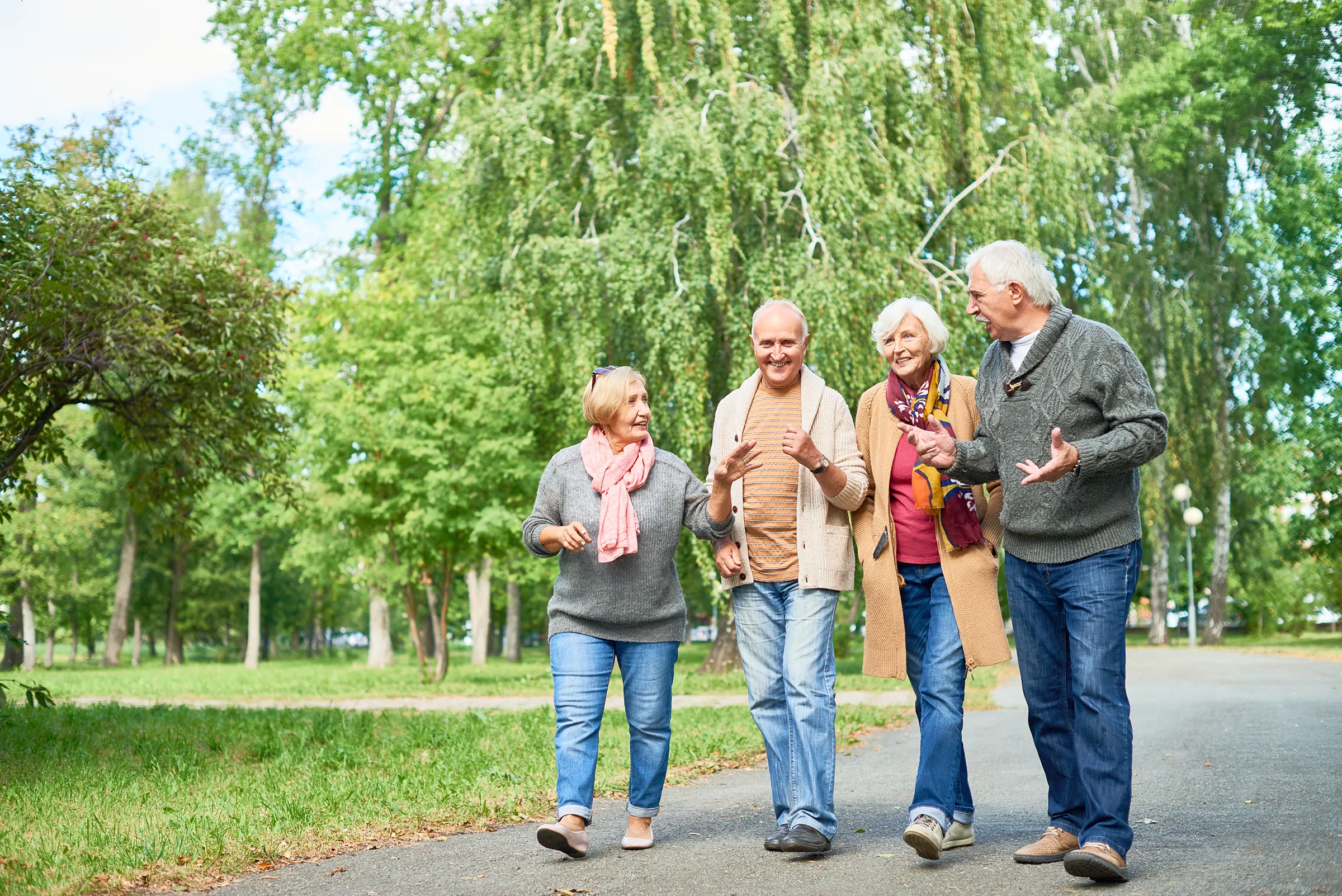Four seniors walking together in a green park